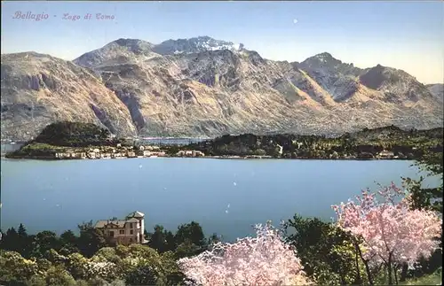 Bellagio Lago di Como Panorama Fruehlingsbluete