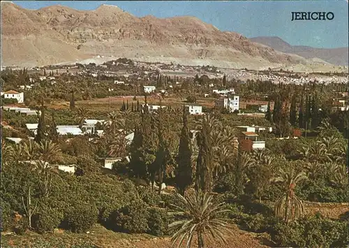 Jericho Israel City of Palms in the Jordan Valley Kat. Israel