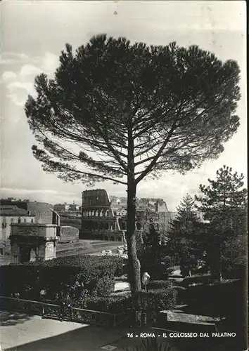 Rom Roma Il Colosseo dal Palatino Ruine antike Staette /  /Rom