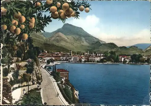 Riva del Garda Uferstrasse am Gardasee /  /Trento