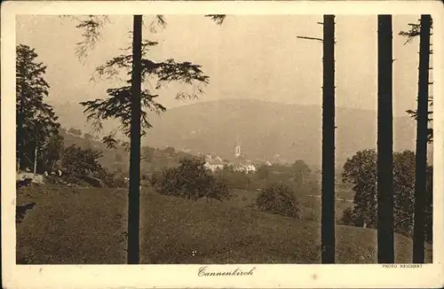 Tannenkirch Haut Rhin Panorama