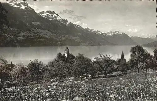 Brienz BE Brienzersee Panorama Kat. Brienz