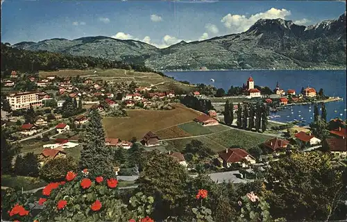 Spiez BE Panorama am Thunersee Kat. Spiez