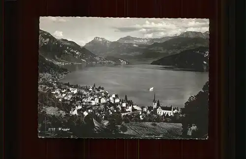 Weggis LU Panorama mit Vierwaldstaettersee Kat. Weggis