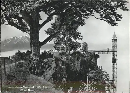 Hammetschwand Buergenstock Hoechster Freiluft Aufzug Europas Aussichtspunkt Kat. Buergenstock