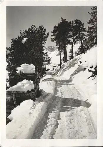 Arosa GR Partie im Arlenwald Kat. Arosa