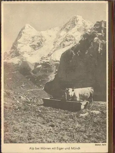 Muerren BE Alp Kuh Brunnen Eiger und Moench Berner Alpen Burgdorf Schloss Jlco Schuhe Kat. Muerren