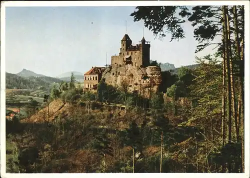 Burg Berwartstein  Kat. Bad Bergzabern