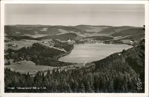 Verlag Franz Nr. 1018 Titisee Schwarzwald Kat. Titisee Neustadt