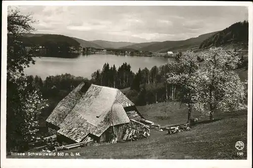 Verlag Franz Nr. 190 Titisee Schwarzwald Haus Kat. Titisee Neustadt