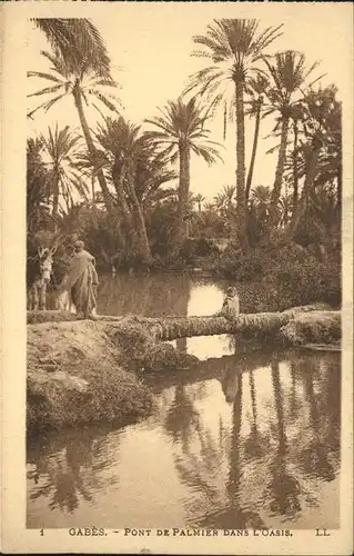 Gabes Pont de palmier dans l oasis Kat. Tunesien