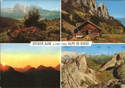 Seis am Schlern Seiser Alm Alpe di Siusi Dolomiten Abendstimmung Alpenblumen Kat. Kastelruth Suedtirol