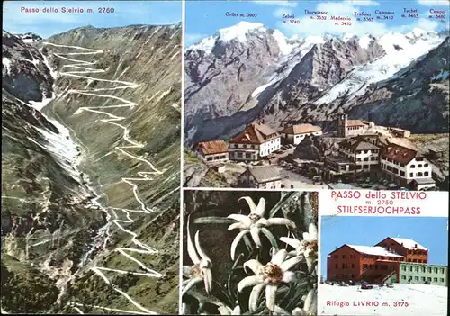 Prad Stilfserjoch Passo dello Stelvio Rifugio Livrio Edelweiss Kat. Vinschgau