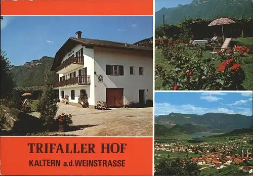 Kaltern Weinstrasse Tirol Trifaller Hof Weinberg Kat. 