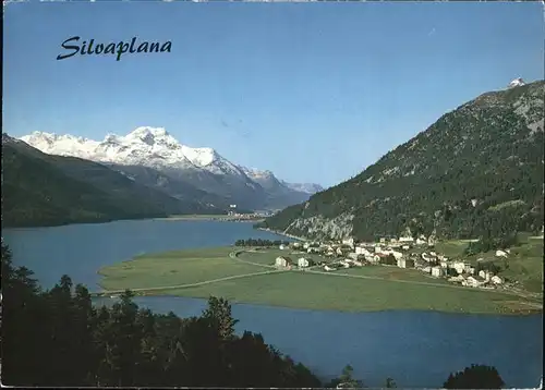 Silvaplana GR Panorama mit Alpenblick Kat. Silvaplana