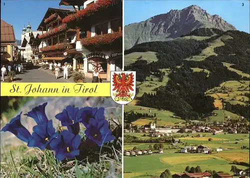 Sankt Johann Tirol Panorama mit Kitzbueheler Horn Spechbacherstrasse Enzian Kat. Oesterreich
