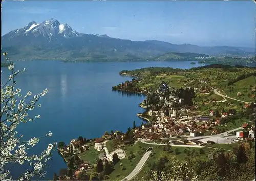 Weggis LU Panorama Vierwaldstaettersee Pilatus Kat. Weggis