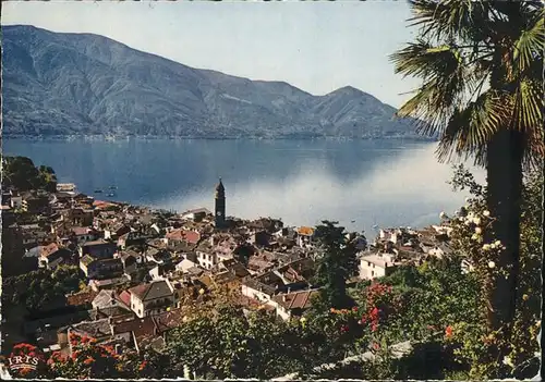 Ascona TI Panorama mit Lago Maggiore / Ascona /Bz. Locarno