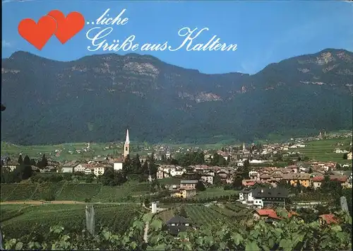 Kaltern Weinstrasse Tirol Panorama Wein Kat. 