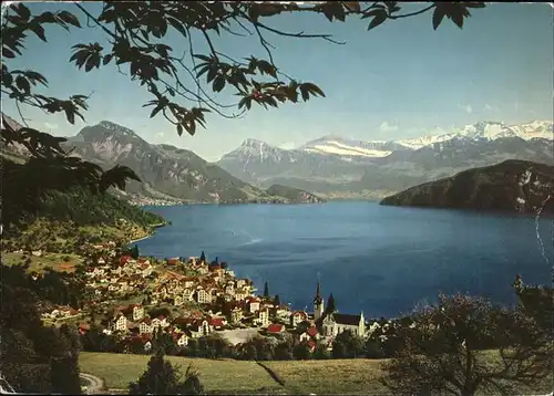 Weggis LU Panorama Vierwaldstaettersee und die Alpen Kat. Weggis