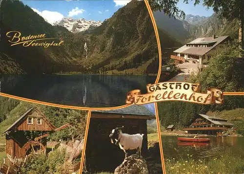 Aich Assach Steiermark Gasthof Forellenhof Steirischer Bodensee Seewigtal Muehlrad Ziege Paddelboot Dachstein Tauern /  /