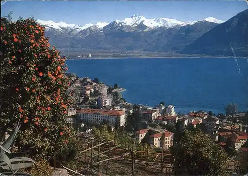 Locarno Lago Maggiore mit Alpenpanorama / Locarno /Bz. Locarno