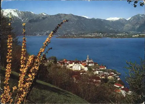 Gambarogno TI Lago Maggiore Alpenblick Kat. Gambarogno