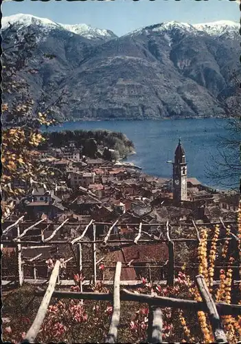 Ascona TI Ortsansicht mit Kirche Lago Maggiore Alpenblick Fruehling / Ascona /Bz. Locarno