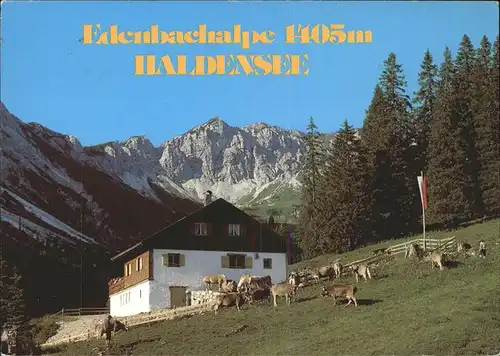 Haldensee Edenbachalpe Kat. Oesterreich