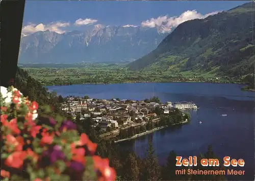 Zell See mit Steinernem Meer und Alpenpanorama / Zell am See /Pinzgau-Pongau