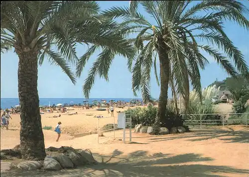 Costa Dorada Maresme Playa Paseo Maritimo Kat. Spanien