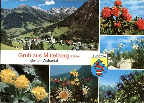 Mittelberg Kleinwalsertal Wappen Blumen Kat. Oesterreich