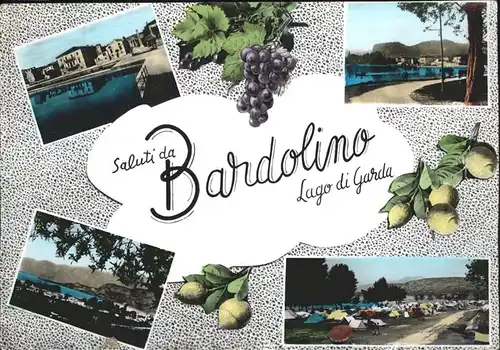 Lago di Garda Bardolino Weintrauben Campingplatz Kat. Italien
