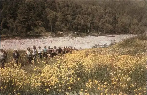 Russland Blumenwiesen im Tal Adylsu Kat. Russische Foederation