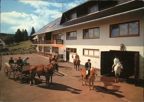 Hinterhaeuser Park Hotel Gloecklehof Pferdekutsche Reiten Kat. Schluchsee