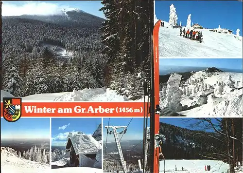 Arber Grosser Arber Ski Wappen / Bayerisch Eisenstein /Regen LKR