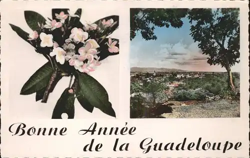 Guadeloupe Bonne Annee Blumen Kat. Guadeloupe