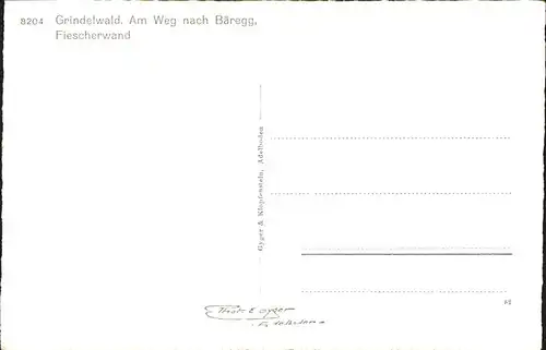 Grindelwald Fiescherwand mit Gemsen Kat. Grindelwald