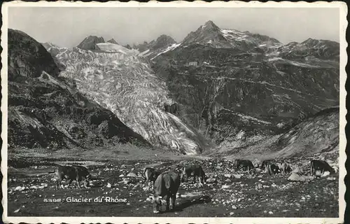 Wallis Valais Kanton Glacier du Rhone Kat. Sion