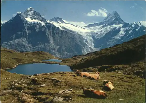 Grindelwald mit Bachsee Kat. Grindelwald