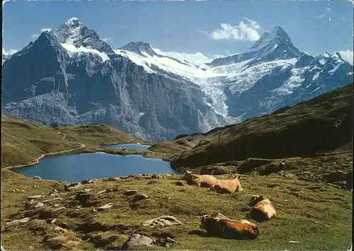 Grindelwald am Bachsee Kat. Grindelwald