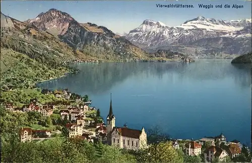 Weggis LU Panorama Vierwaldstaettersee und die Alpen Kat. Weggis