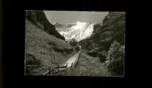 Grindelwald Weg nach Baeregg Fiescherwand Berner Alpen Kat. Grindelwald
