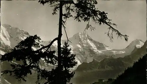 Muerren BE Panorama mit Lauterbrunner Breithorn Berner Alpen Kat. Muerren