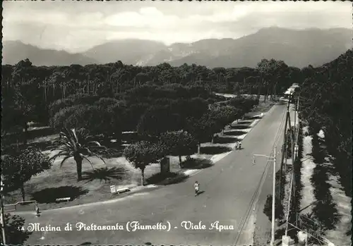 Fiumetto Pietrasanta Marina di Pieltasanta Viale Apua