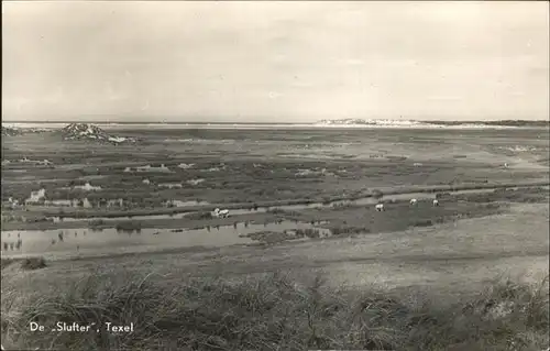 Texel De Slufter Kat. Niederlande