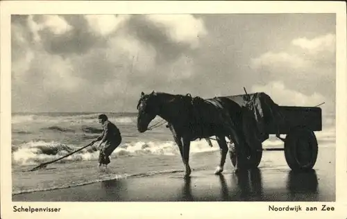 Noordwijk aan Zee  Schelpenvisser Pferdekutsche Strand Kat. Noordwijk