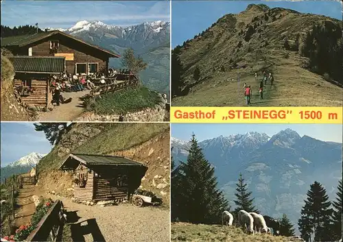 Dorf Tirol Berggasthof Steinegg Muthoefe Mutspitze Schafe Berghuette Meraner Hoehenweg Naturpark Texelgruppe Motiv mit Ilfinger Alpenpanorama Kat. Italien