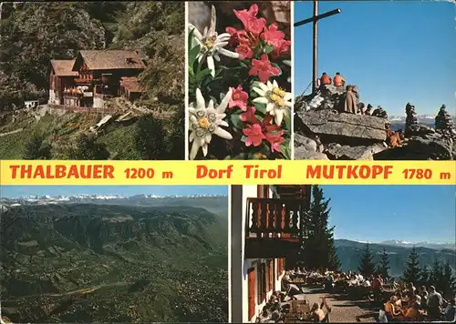 Dorf Tirol Naturpark Texelgruppe Bergasthaus Thalbauer Mutkopf Terrasse Gipfelkreuz Alpenpanorama Alpenblumen Kat. Italien