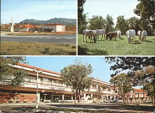 Kozina Motel Hotel Maestoso Lipica Pferde